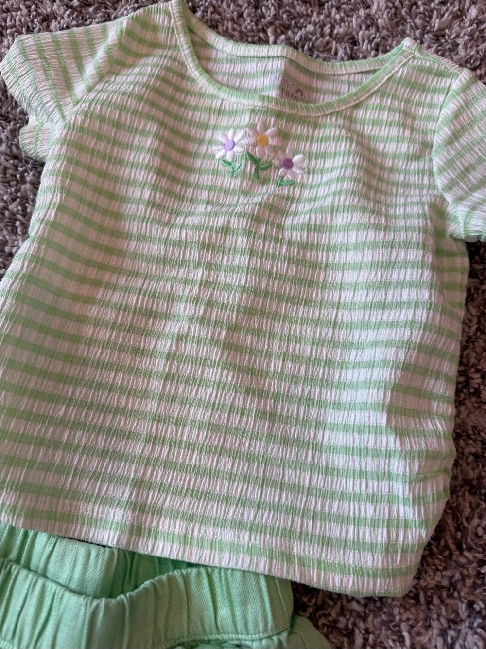 Garanimals Green Striped Top & Solid Shorts Matching Set